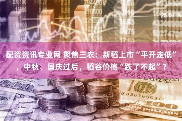 配资资讯专业网 聚焦三农：新稻上市“平开走低”，中秋、国庆过后，稻谷价格“跌了不起”？